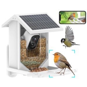 SNOSECURE Solar Power Intelligent bird feeder camera Manufacturer Supplier